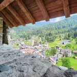 L'Arte della Coltivazione in Italia: Tra Tradizione, Innovazione e Passione