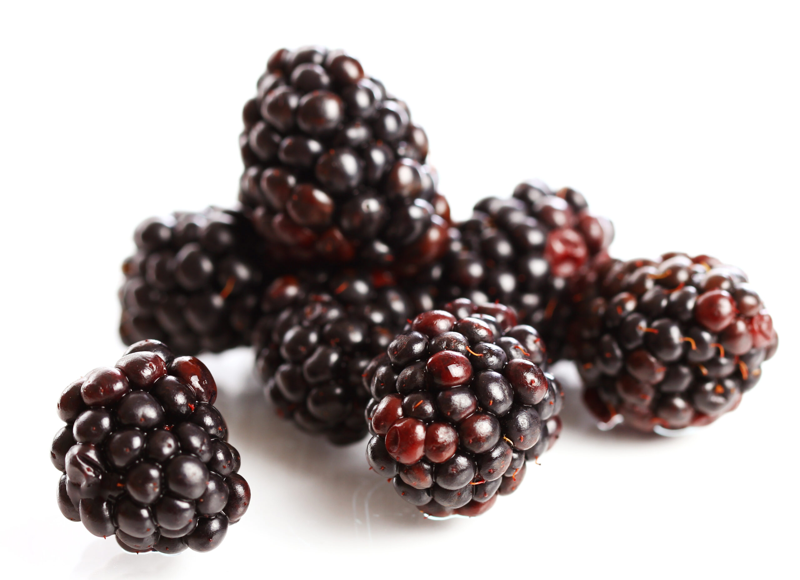 Ribes nero: benefici, proprietà e consigli su come integrarlo nella dieta