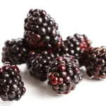 Ribes nero: benefici, proprietà e consigli su come integrarlo nella dieta